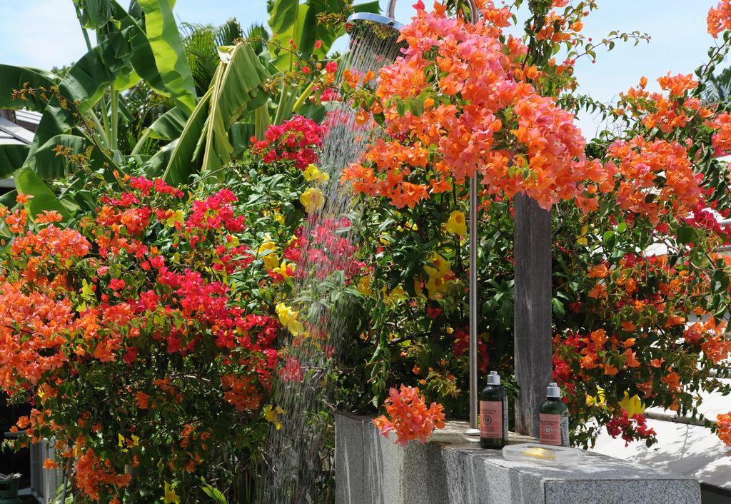 Samui Blu, Villa With Private Pool Choeng Mon Ngoại thất bức ảnh